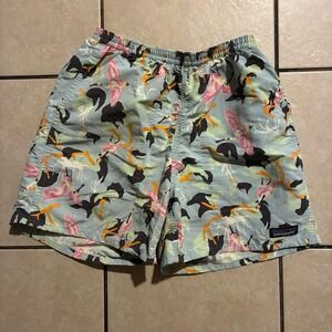 Patagonia Men's XS Spoonbills Big Sky Blue Outdoor Shorts